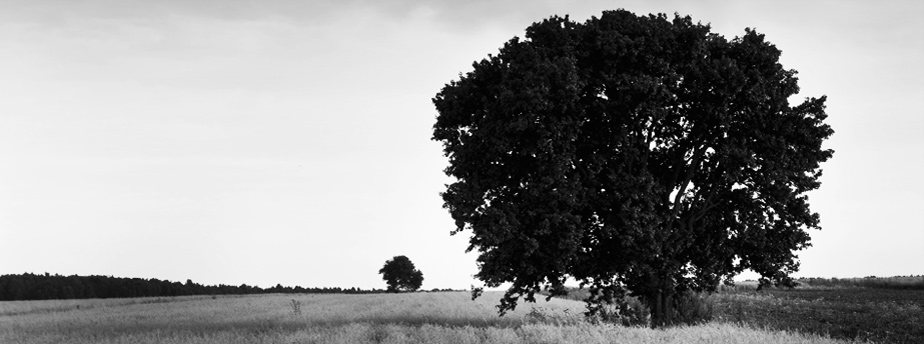 ddos在线攻击工具